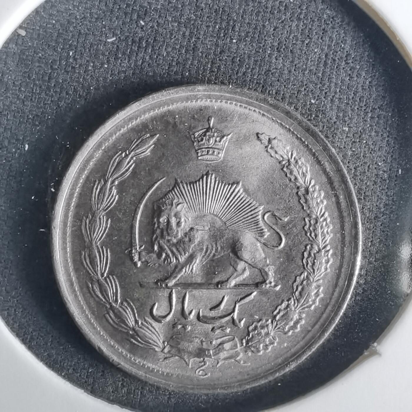 沼泽如烟--第1033场