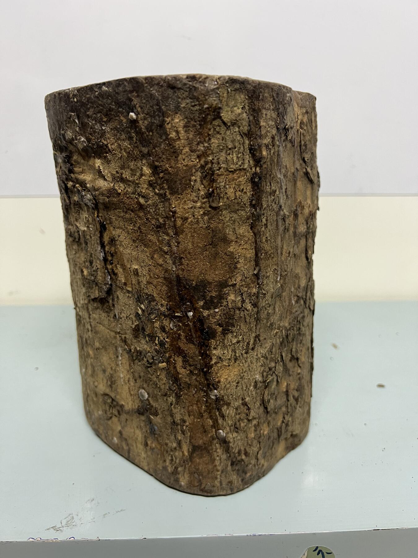 零元拍：金丝楠圆墩凳子摆件，重量3.3公斤。高：200高/190/205MM。抛光后金灿灿满香。最后图为成品效果图，如果带点瘤，意味着花纹更漂亮。抛光后金灿灿满香。最后两图为成品效果。