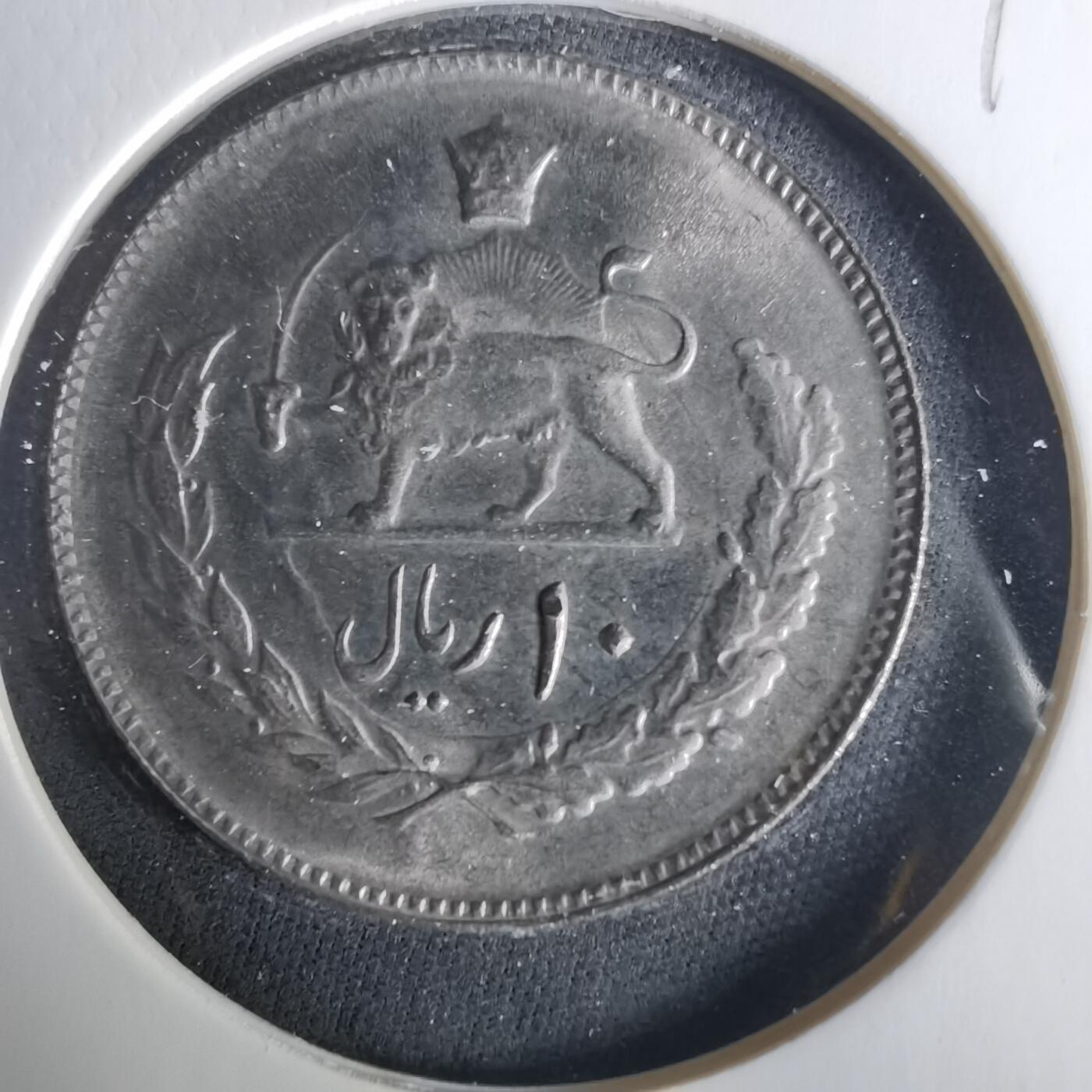 沼泽如烟--第1033场