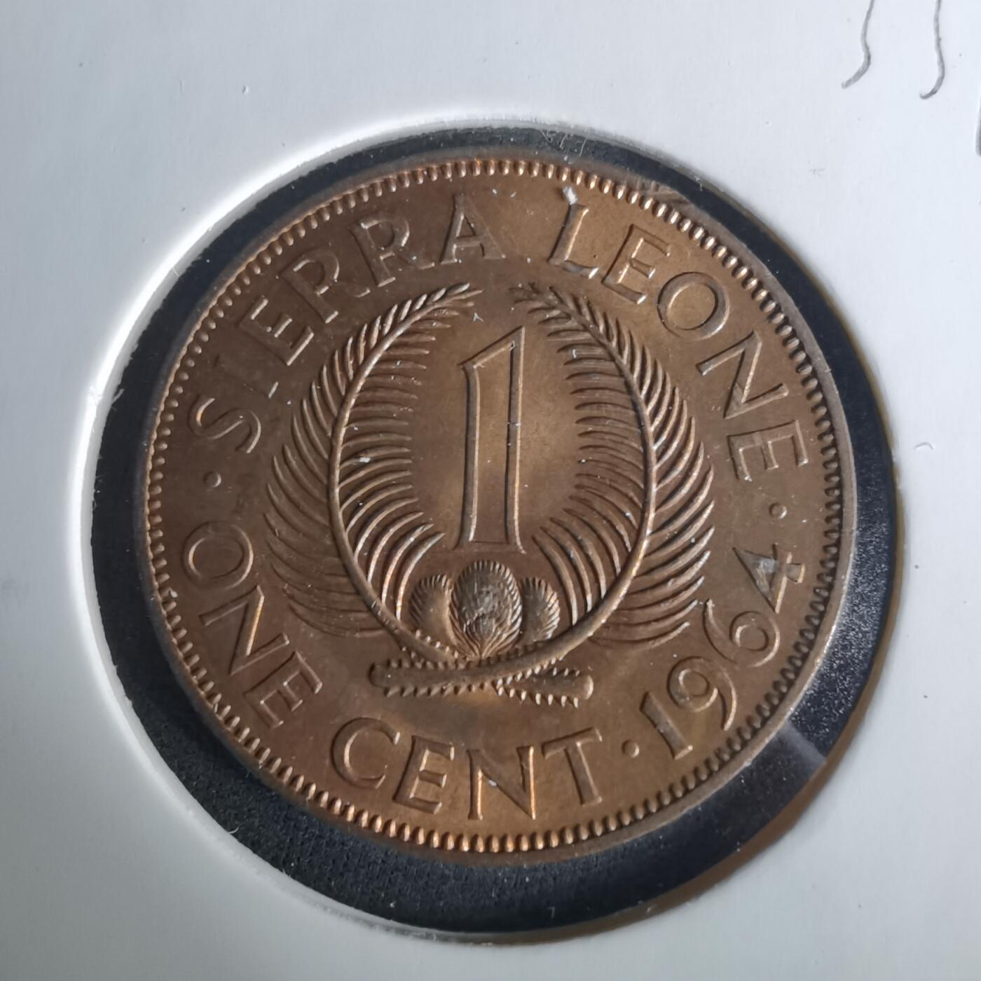 沼泽如烟--第1033场