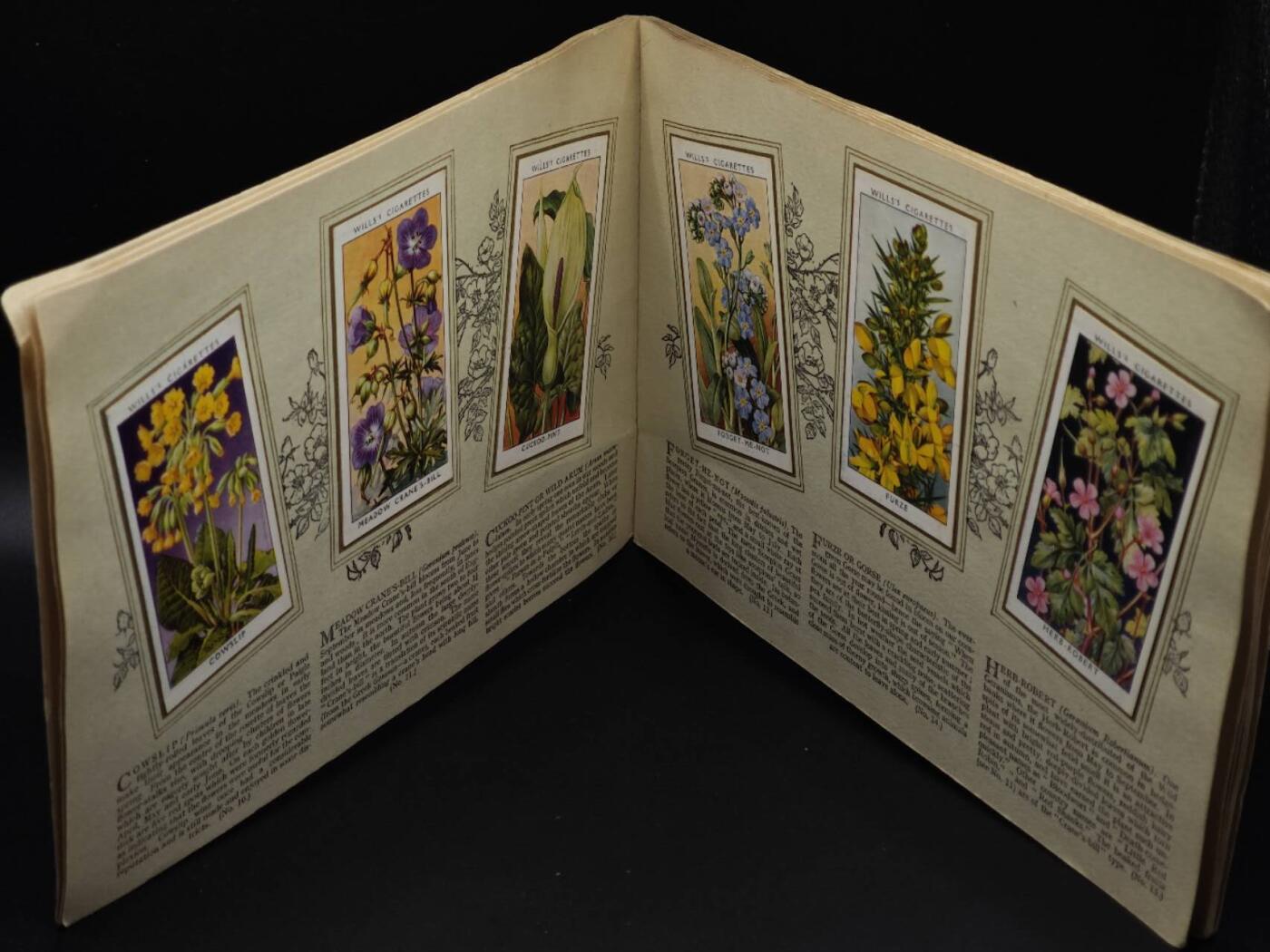  【淘币小摊】限时拍第八百八十四拍   纸币场    每周一统一发货 英国野生花朵50种介绍册