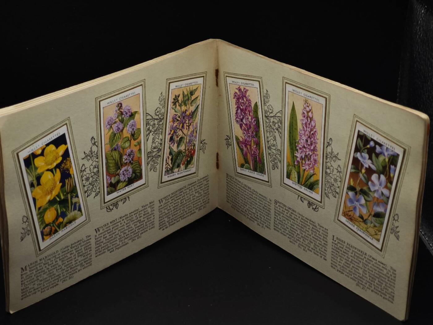  【淘币小摊】限时拍第八百八十四拍   纸币场    每周一统一发货 英国野生花朵50种介绍册