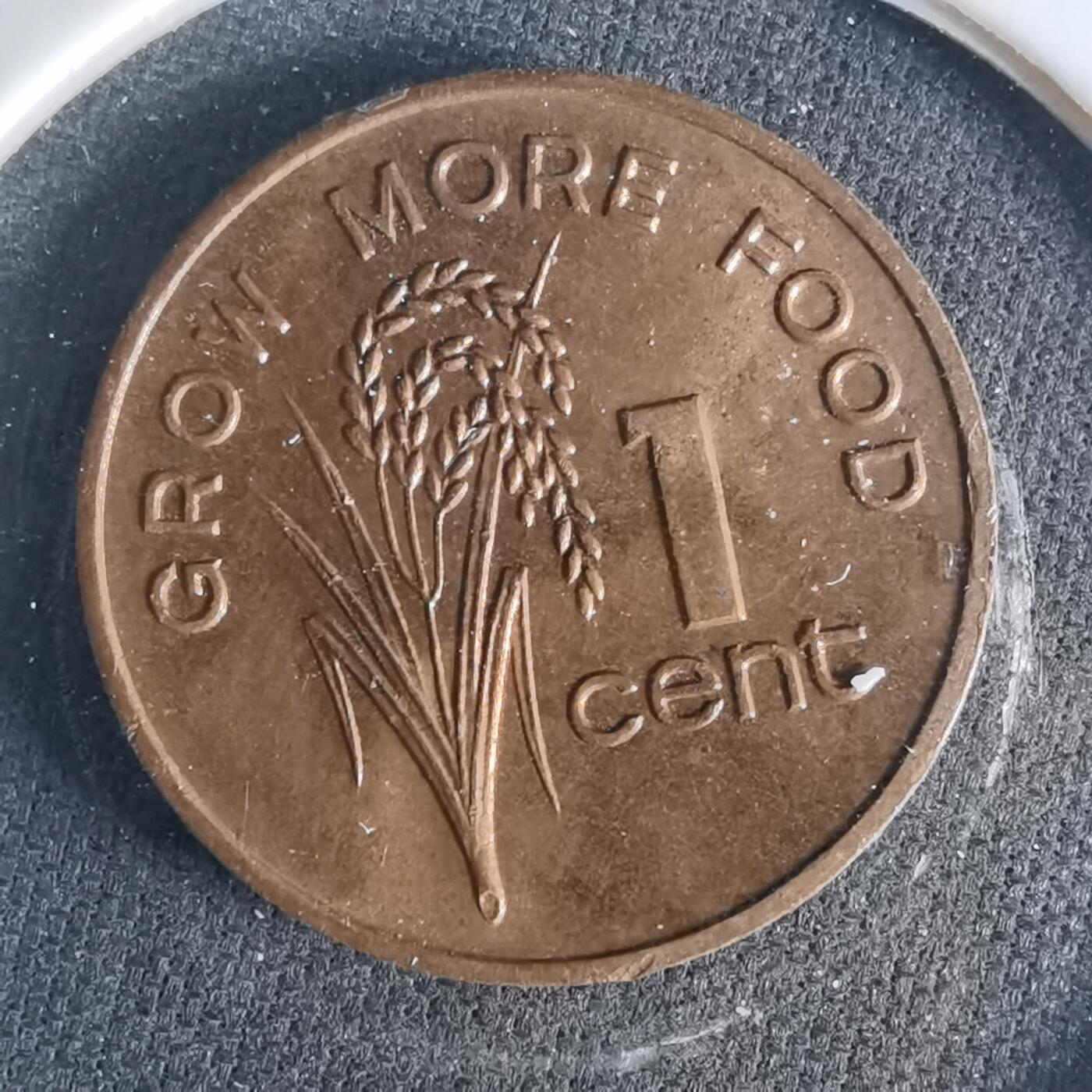 沼泽如烟--第1033场 斐济1981年一分