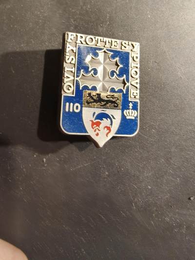 老王徽章第188期 - 法国陆军第110步兵团证章