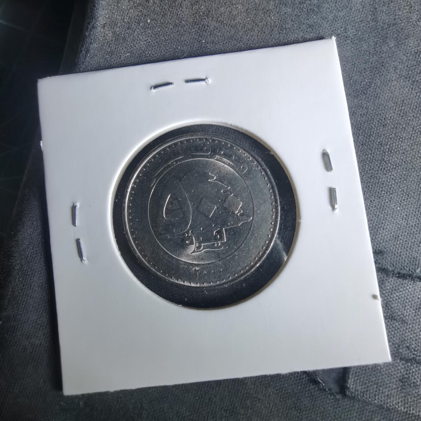 沼泽如烟--第1033场