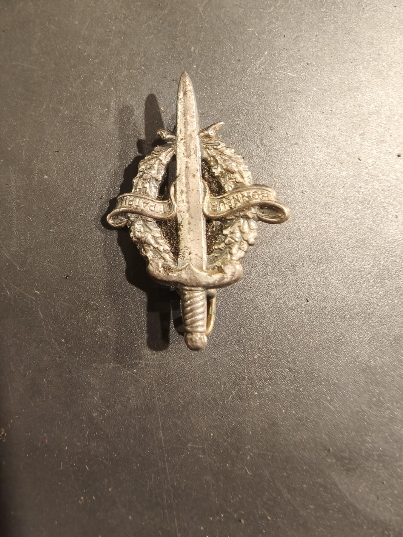 老王徽章第188期