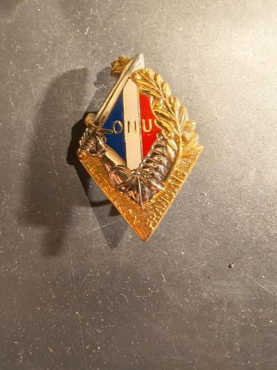 老王徽章第188期 - 法国韩战联合国法军证章