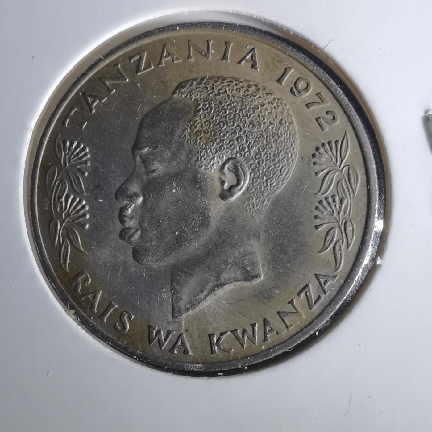 沼泽如烟--第1033场