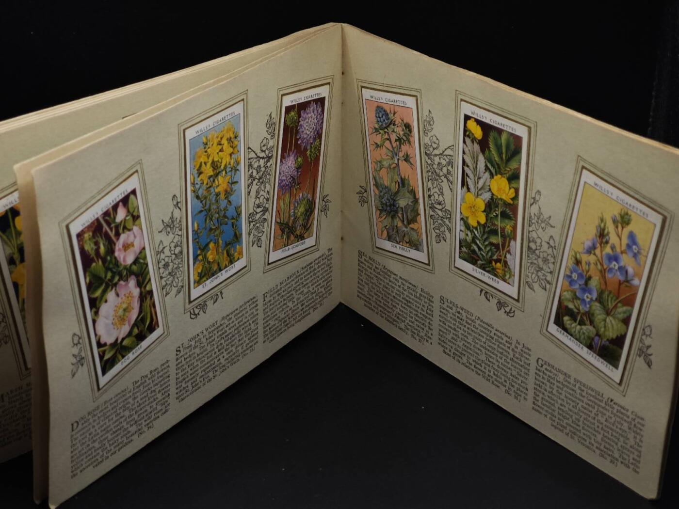  【淘币小摊】限时拍第八百八十四拍   纸币场    每周一统一发货 英国野生花朵50种介绍册