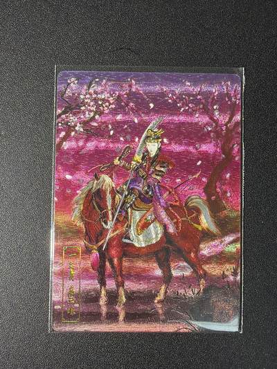 NO.28 好又多金牌大场，每周一站式配齐，方便凑单！（周6晚9点截拍，卖家送拍0抽成！） - 鼎好卡牌 龙耀水浒特卡 自制小浣熊30周年 扈三娘 粗闪