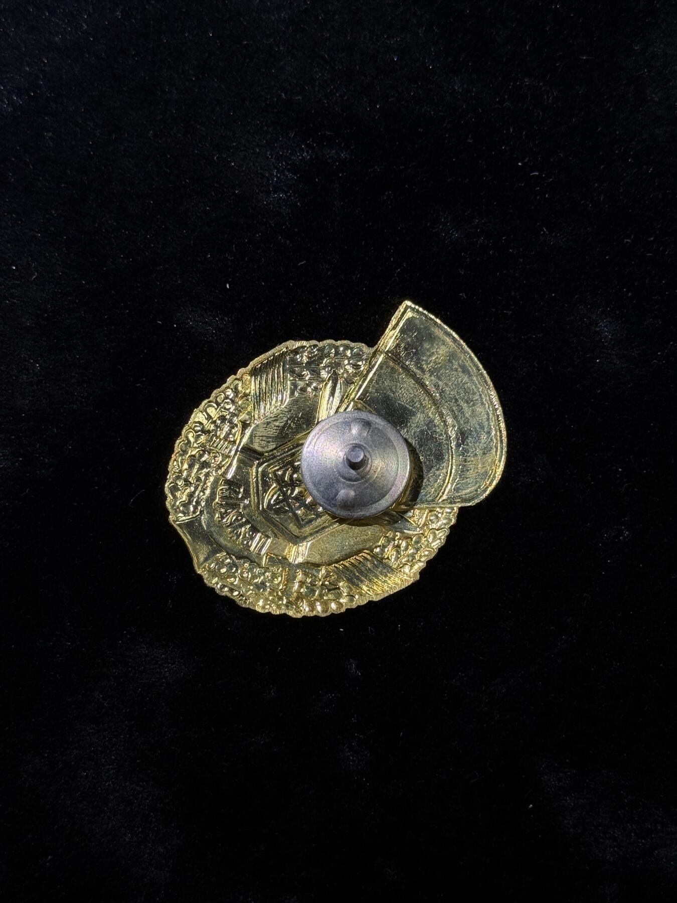 戎马世界章牌大赏，第112期 乌克兰近卫军