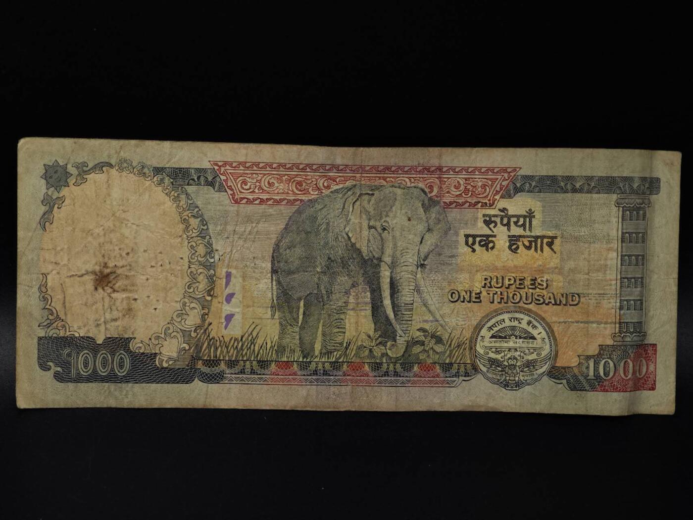  【淘币小摊】限时拍第八百八十四拍   纸币场    每周一统一发货 尼泊尔1000卢比纸币【有折】