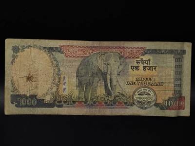  【淘币小摊】限时拍第八百八十四拍   纸币场    每周一统一发货 - 尼泊尔1000卢比纸币【有折】