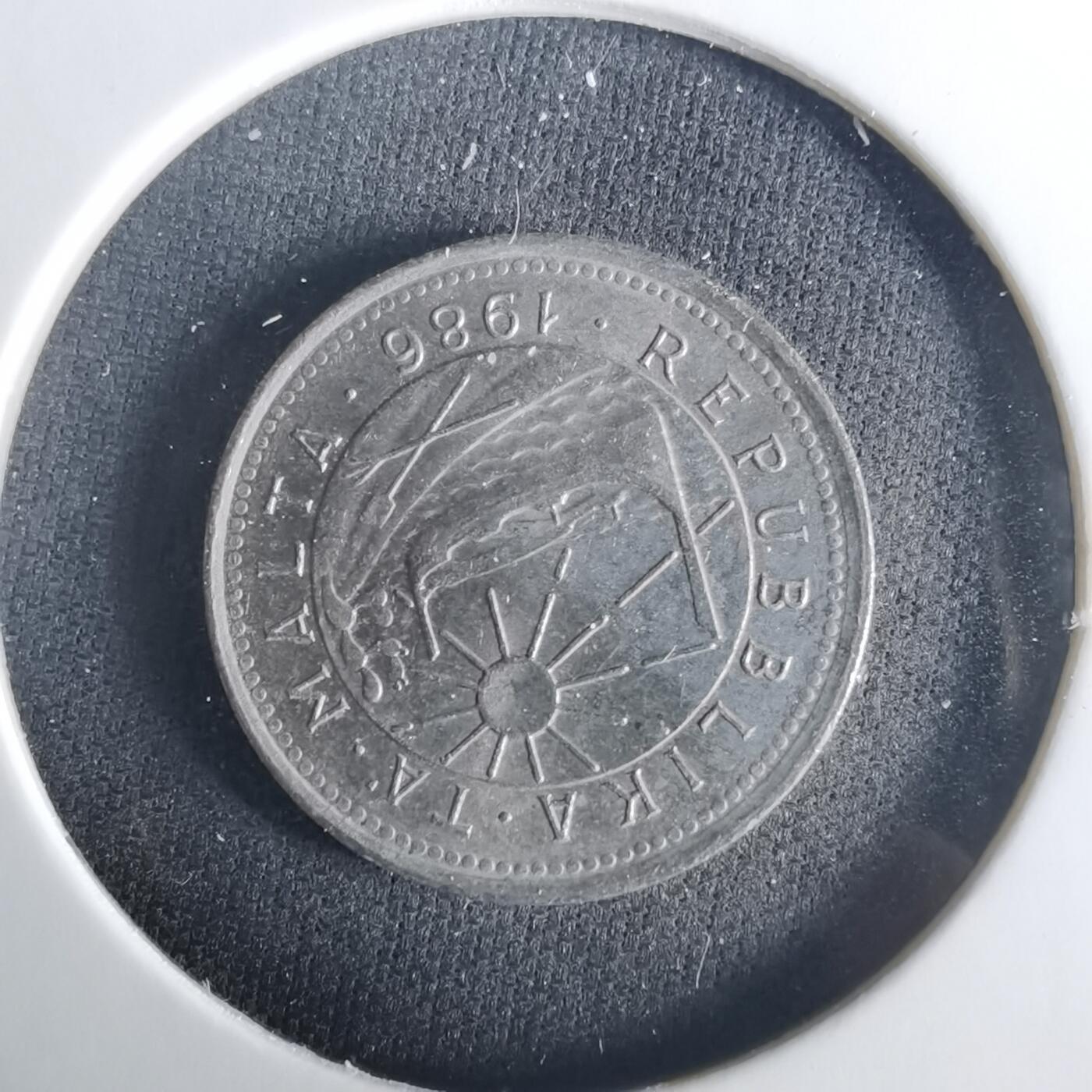 沼泽如烟--第1033场