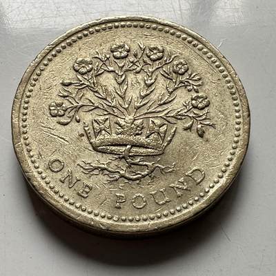 🌹外币初藏🌹🐯2026年第33场   每周二四六晚8️⃣点 接代拍 - 英国1991年1英镑