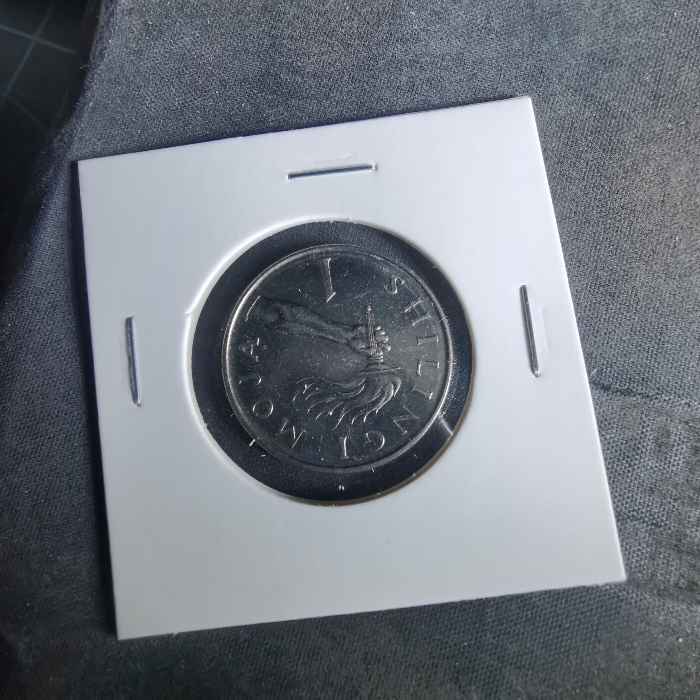 沼泽如烟--第1033场