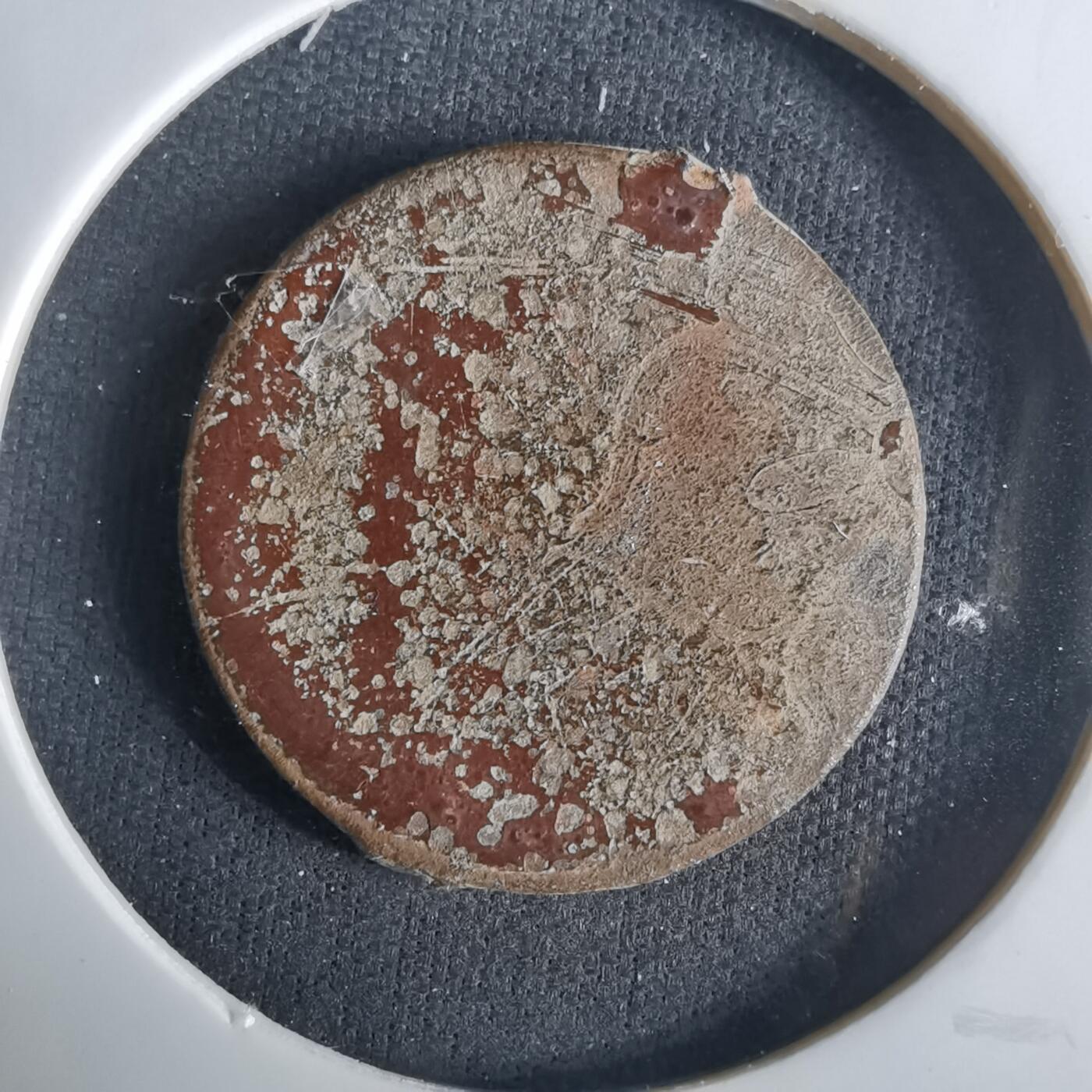 沼泽如烟--第1033场 不认识