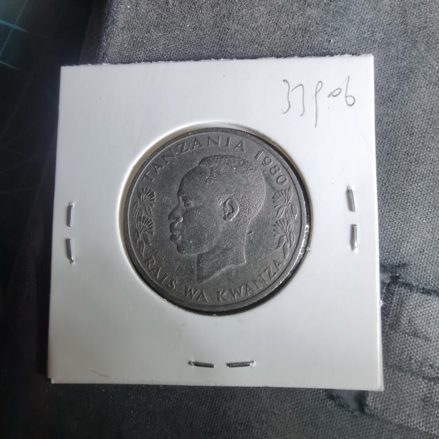 沼泽如烟--第1033场