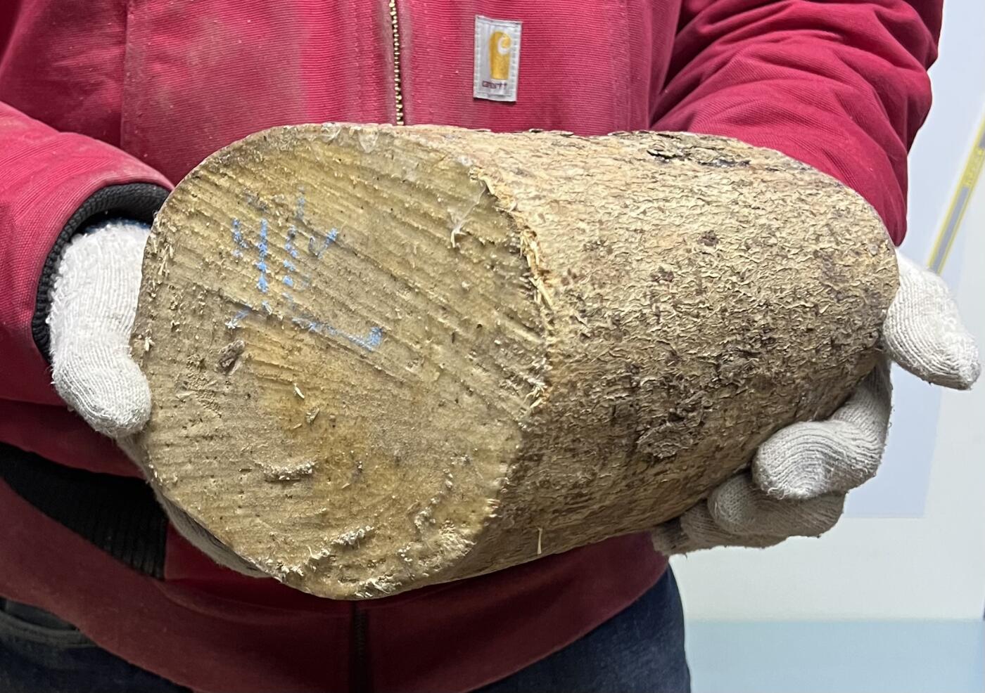 零元拍：金丝楠圆墩凳子摆件，重量3.3公斤。高：200高/190/205MM。抛光后金灿灿满香。最后图为成品效果图，如果带点瘤，意味着花纹更漂亮。抛光后金灿灿满香。最后两图为成品效果。