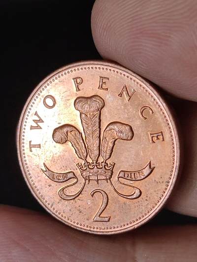 猩哥外币小铺➨【第224场】 - 2便士