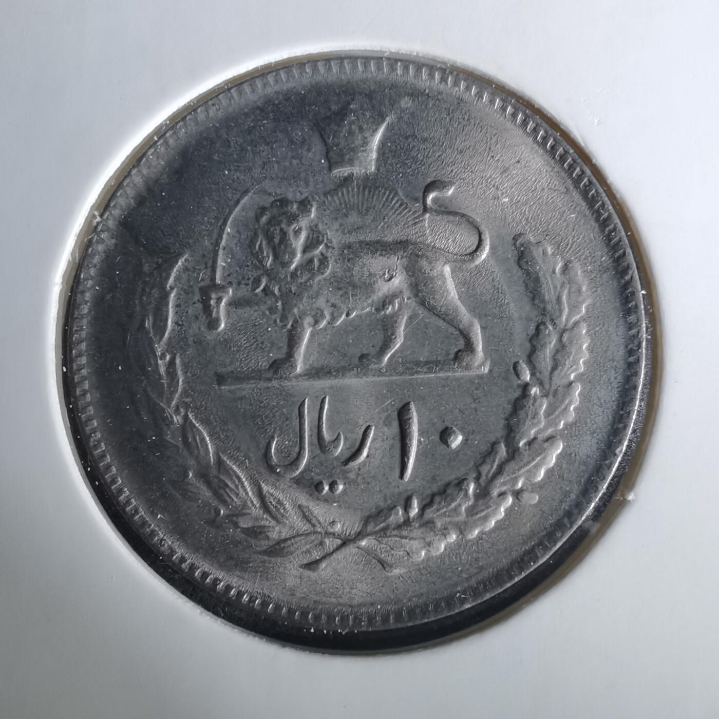 沼泽如烟--第1033场