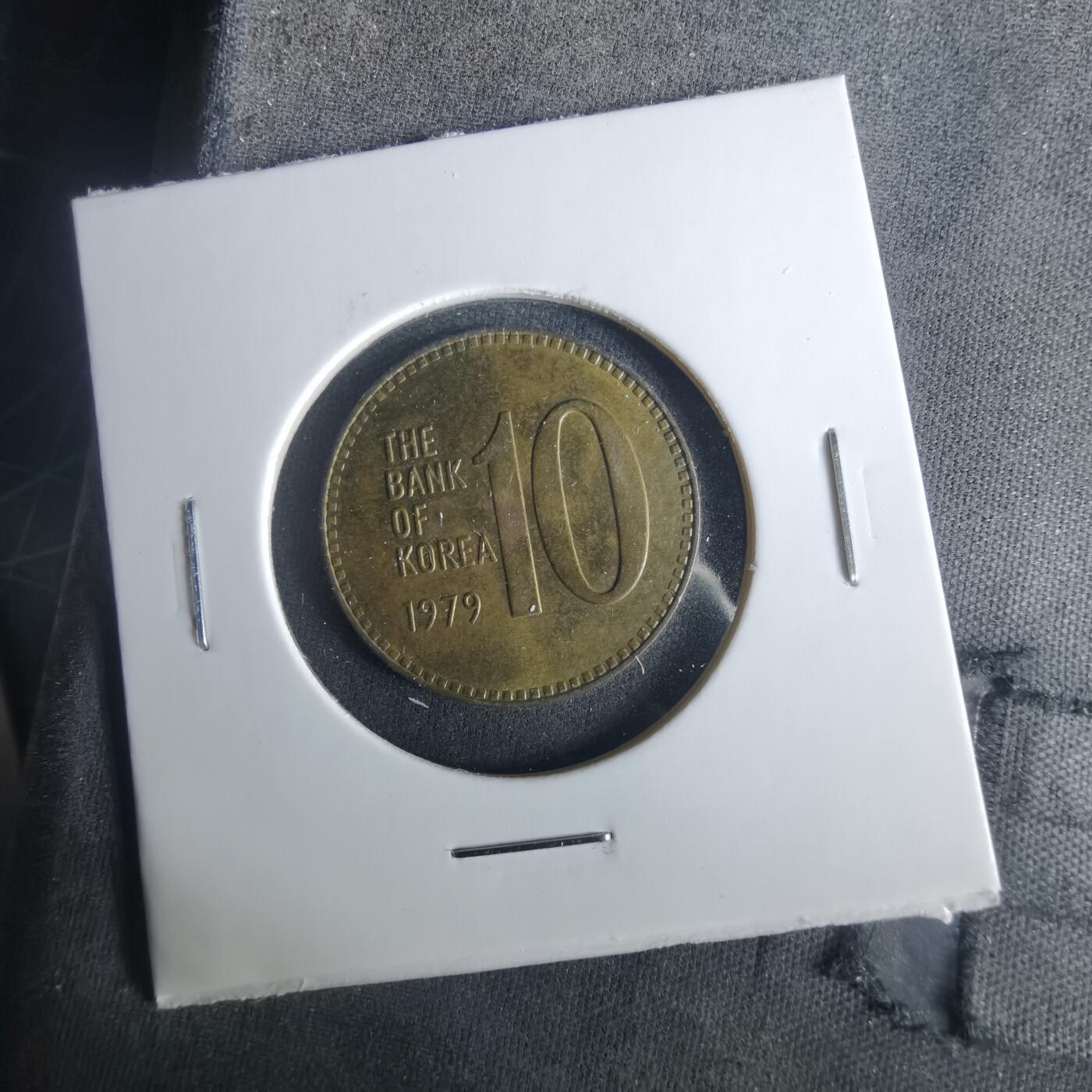 沼泽如烟--第1033场