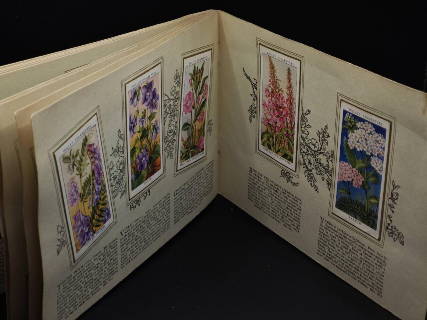  【淘币小摊】限时拍第八百八十四拍   纸币场    每周一统一发货 英国野生花朵50种介绍册