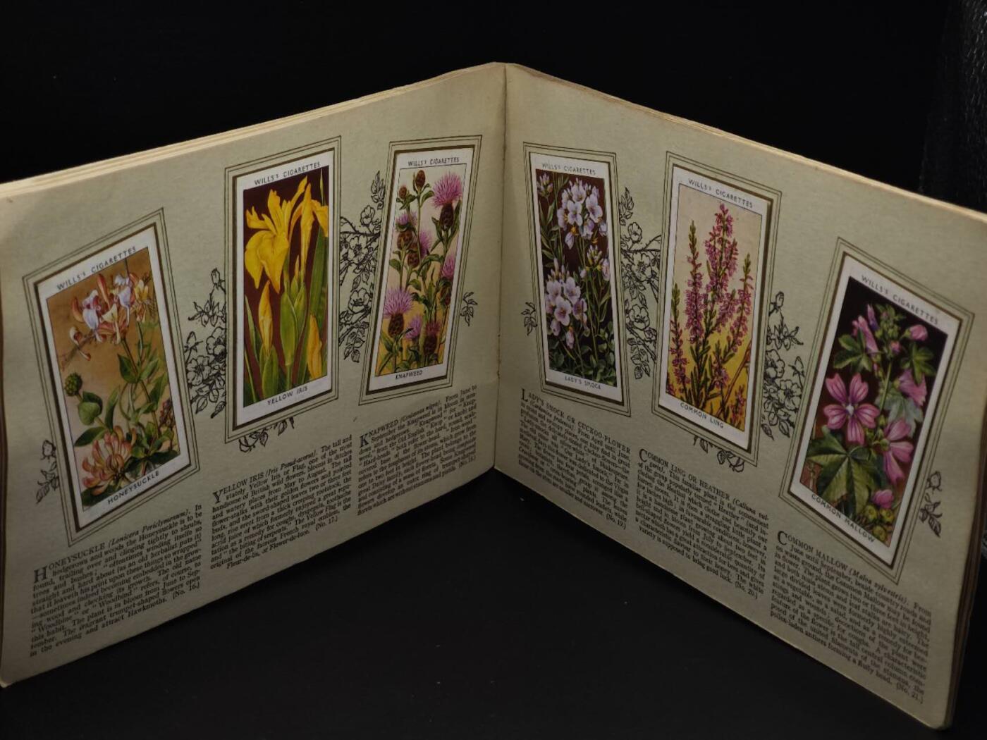  【淘币小摊】限时拍第八百八十四拍   纸币场    每周一统一发货 英国野生花朵50种介绍册