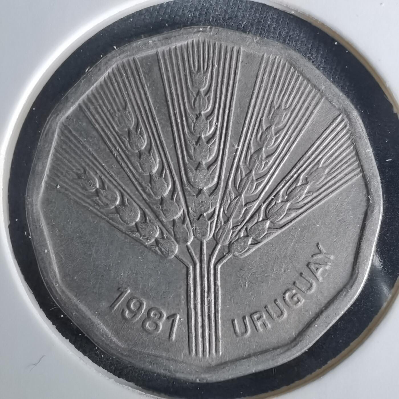 沼泽如烟--第1033场 乌拉圭1981年2比索