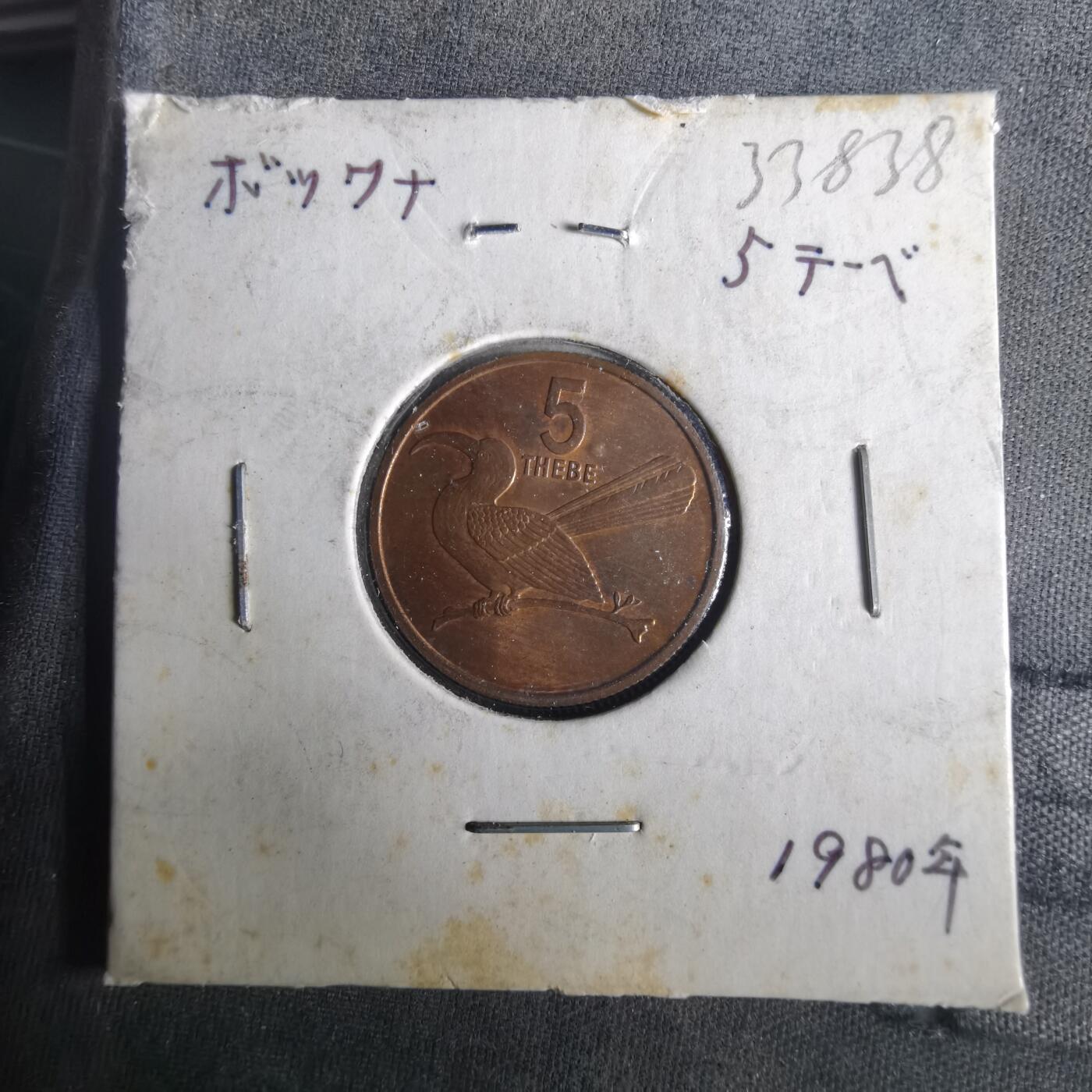 沼泽如烟--第1033场