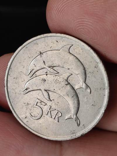 猩哥外币小铺➨【第224场】 - 冰岛