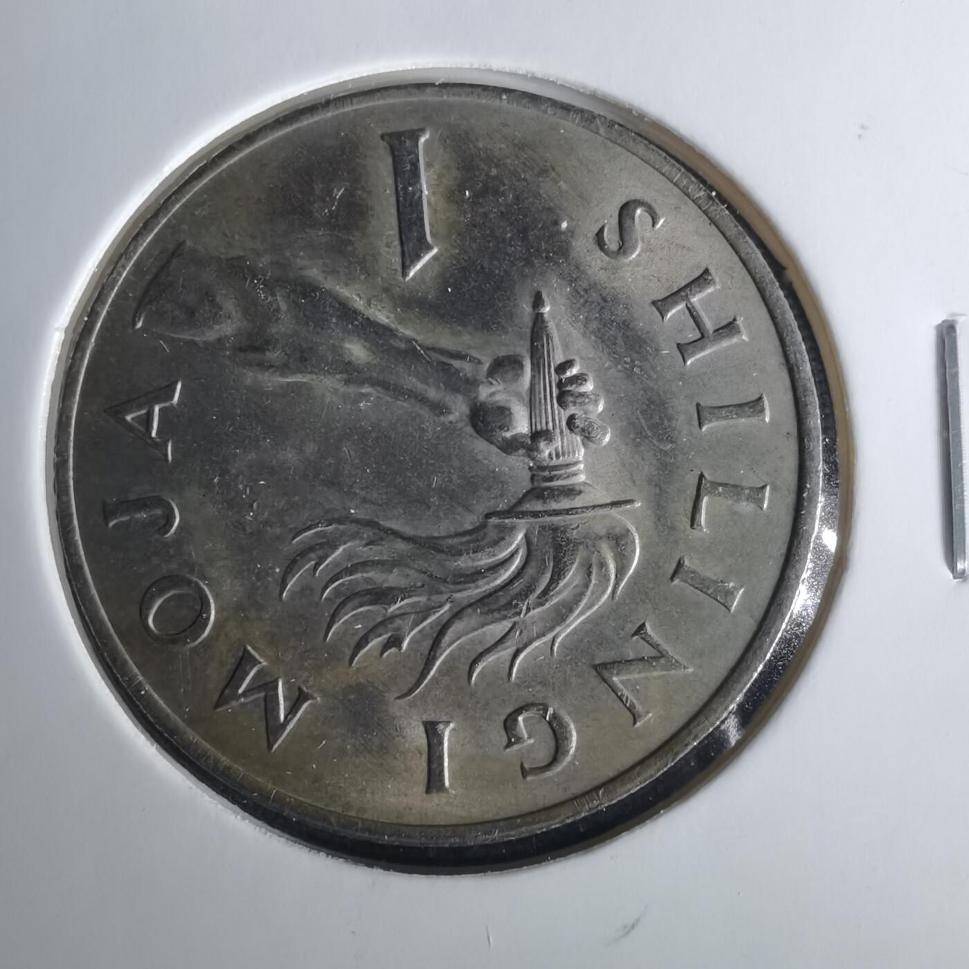 沼泽如烟--第1033场