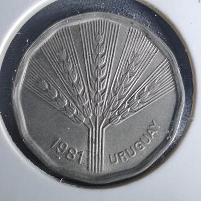 沼泽如烟--第1033场 - 乌拉圭1981年2比索