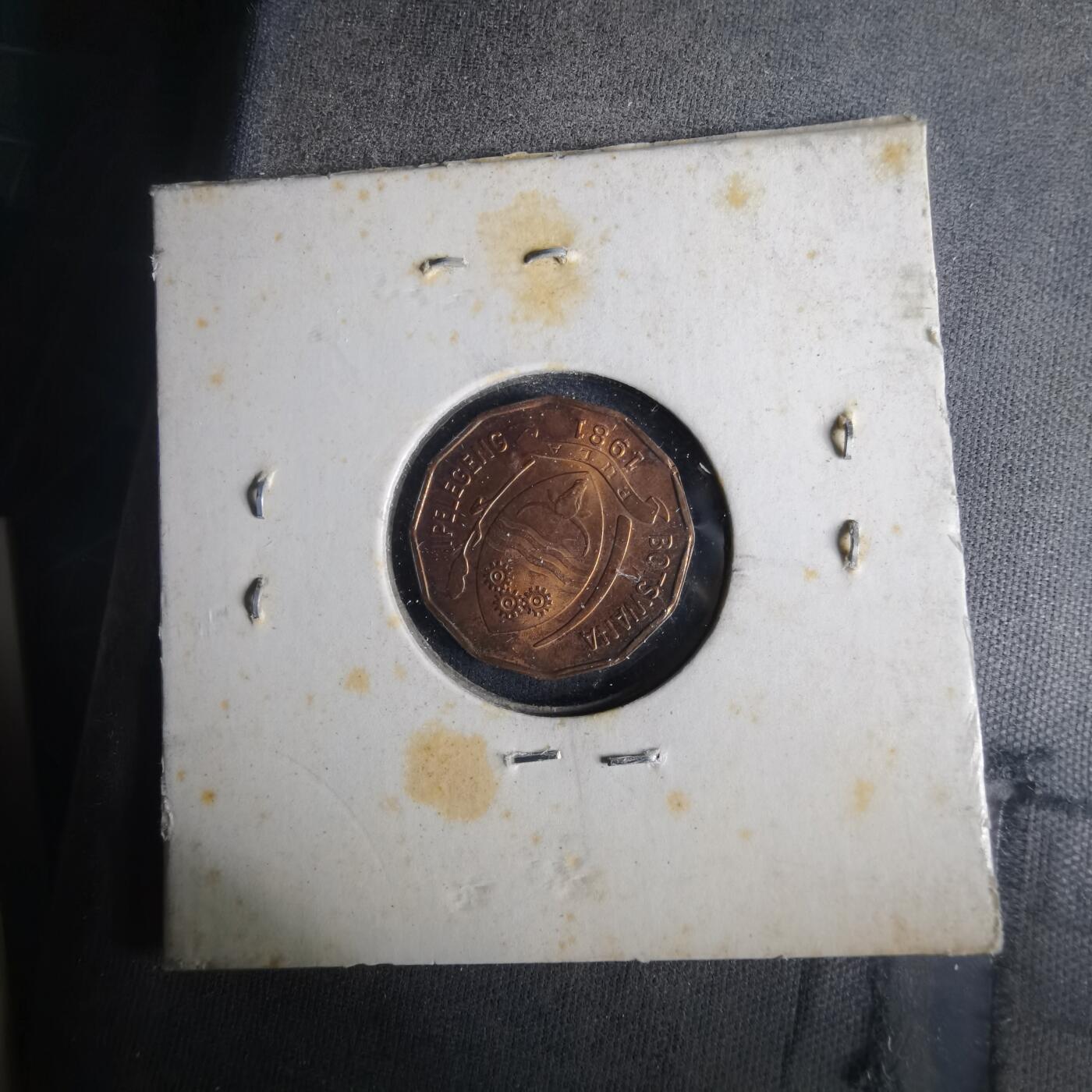 沼泽如烟--第1033场