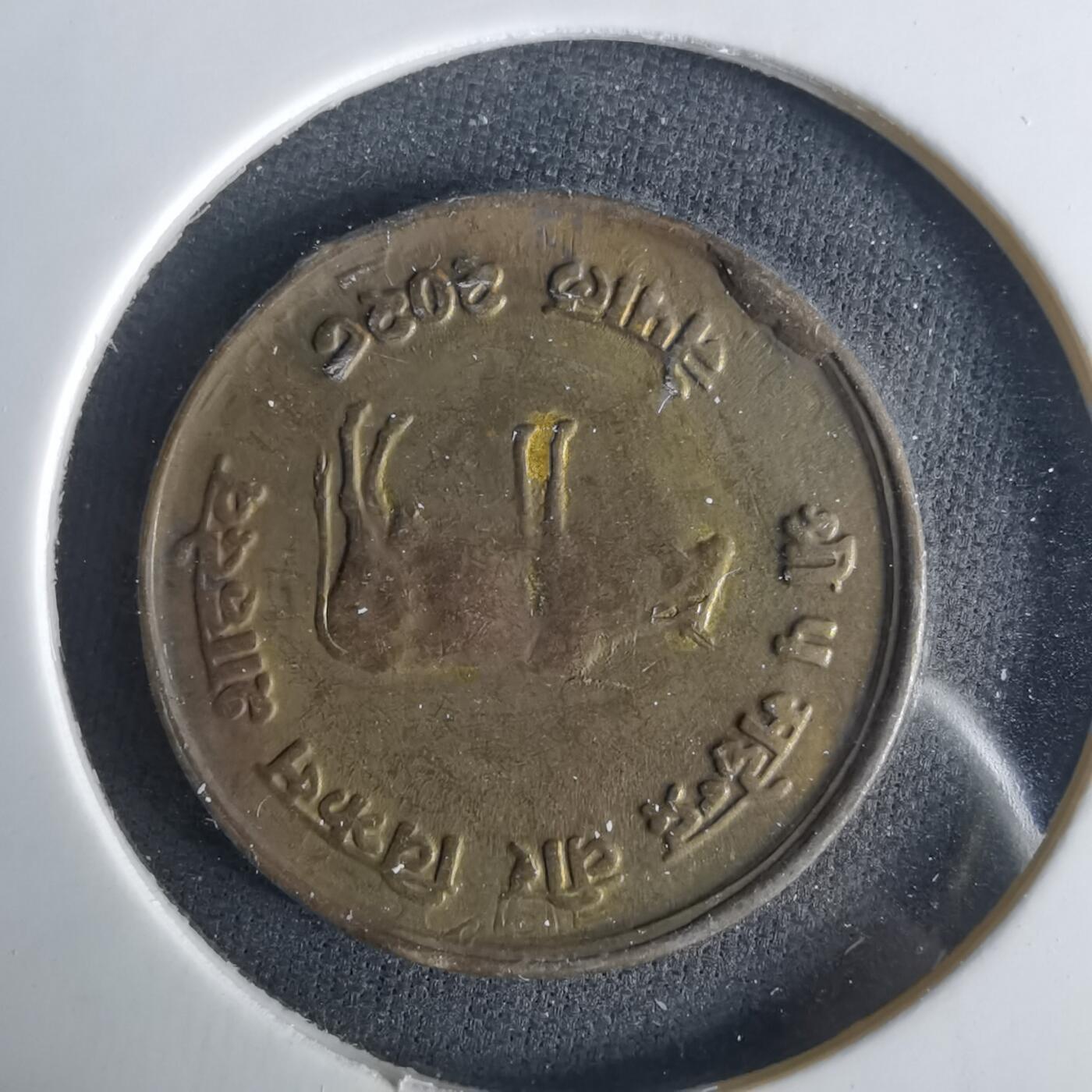 沼泽如烟--第1033场