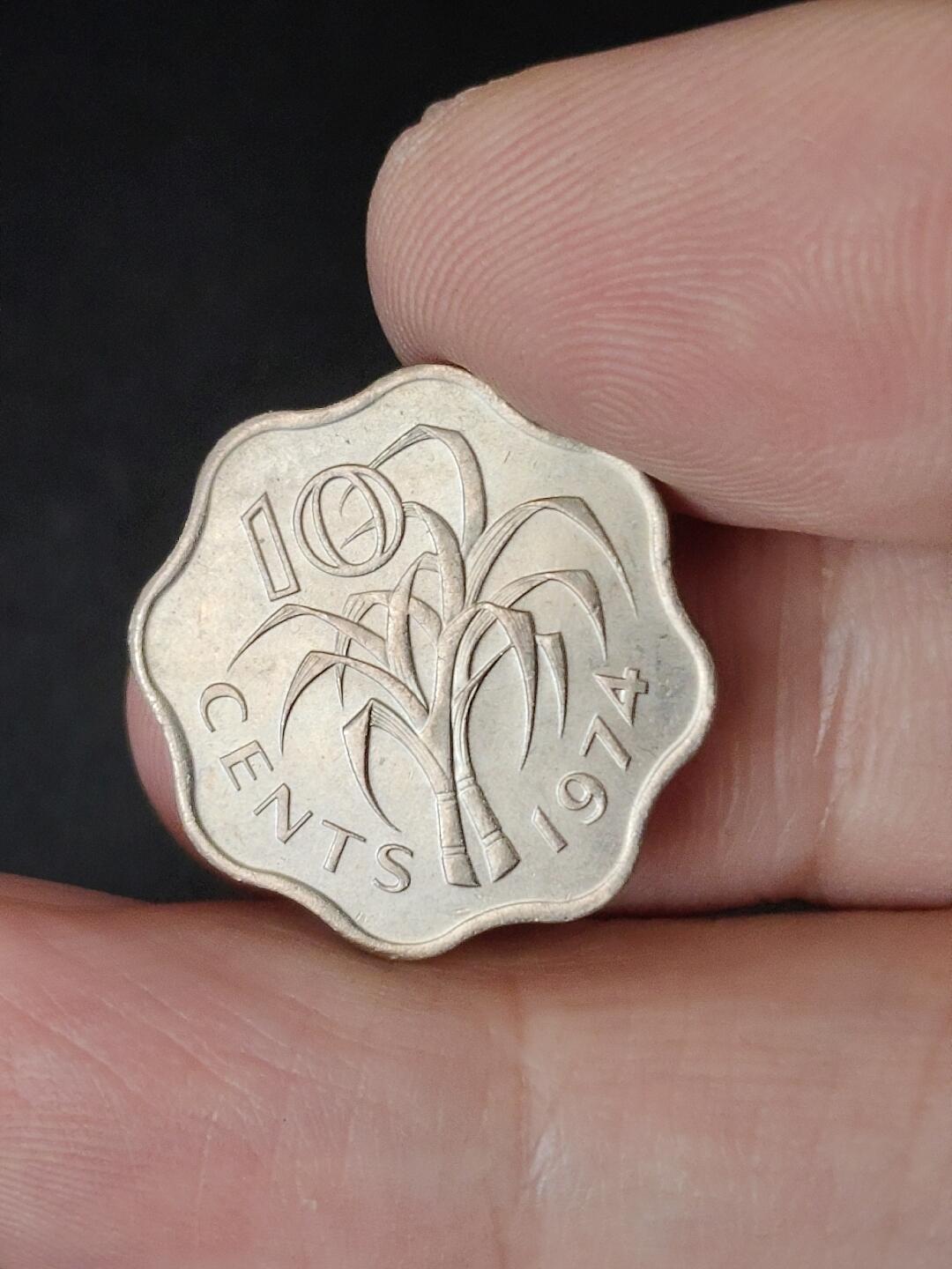 猩哥外币小铺➨【第224场】 非洲