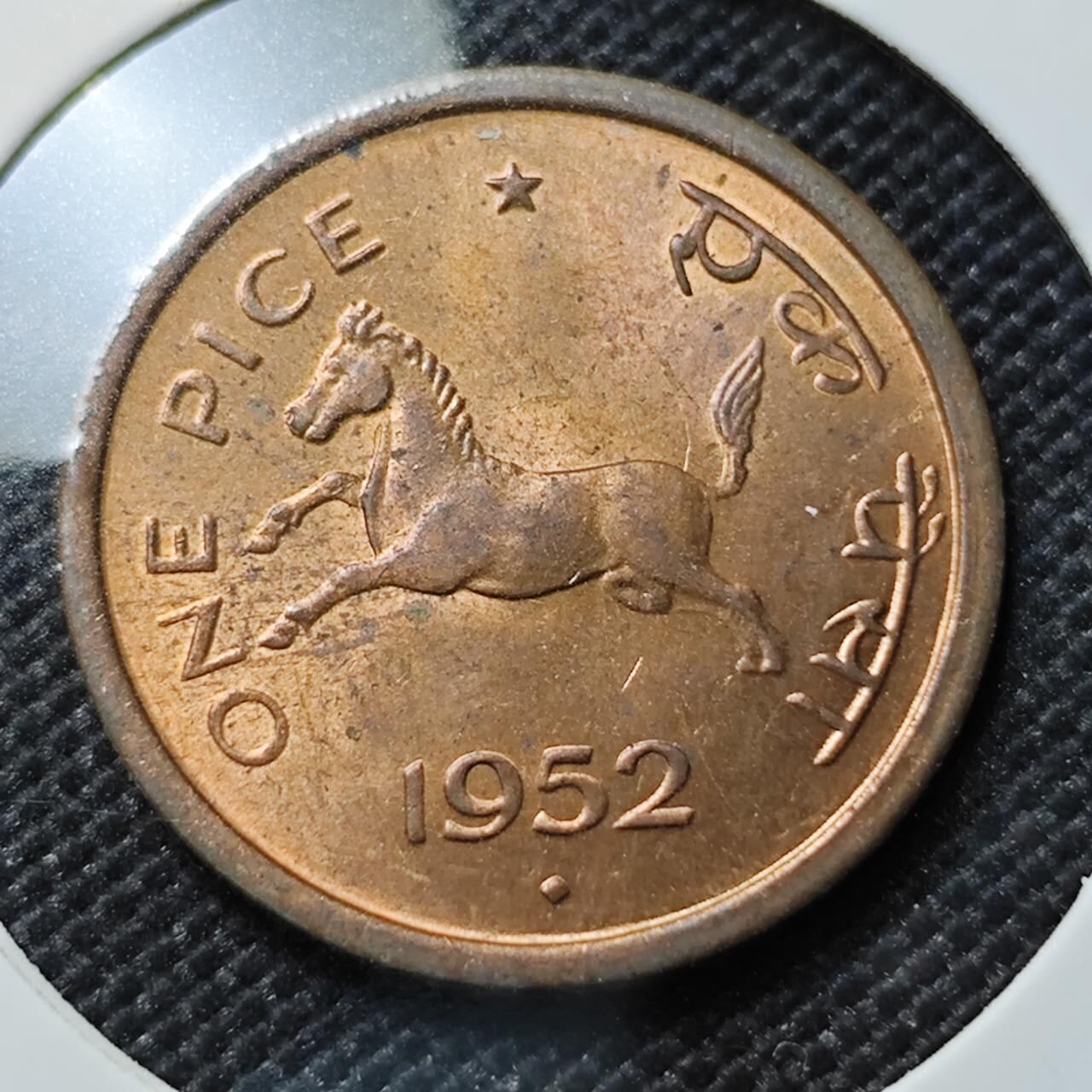 KK钱币收藏小铺   套币专场 2月预留时间 周末发货  1952印度1派沙 小马铜币 好品