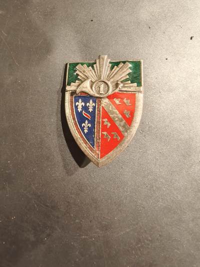 老王徽章第188期 - 法国陆军第1猎骑兵团证章