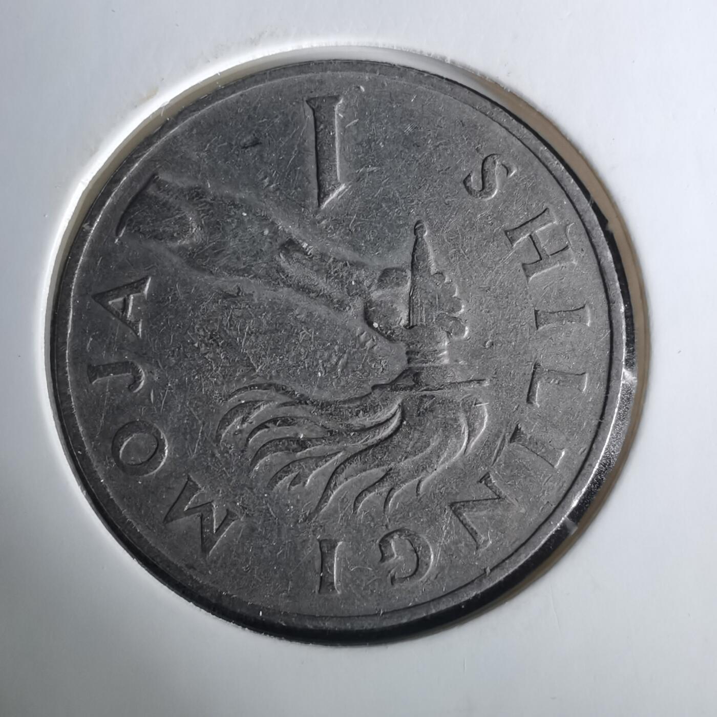 沼泽如烟--第1033场