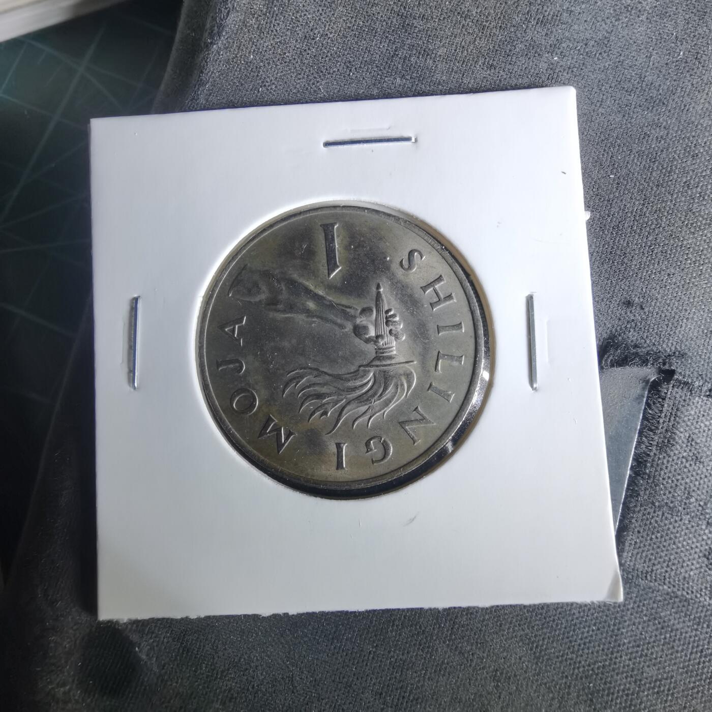 沼泽如烟--第1033场