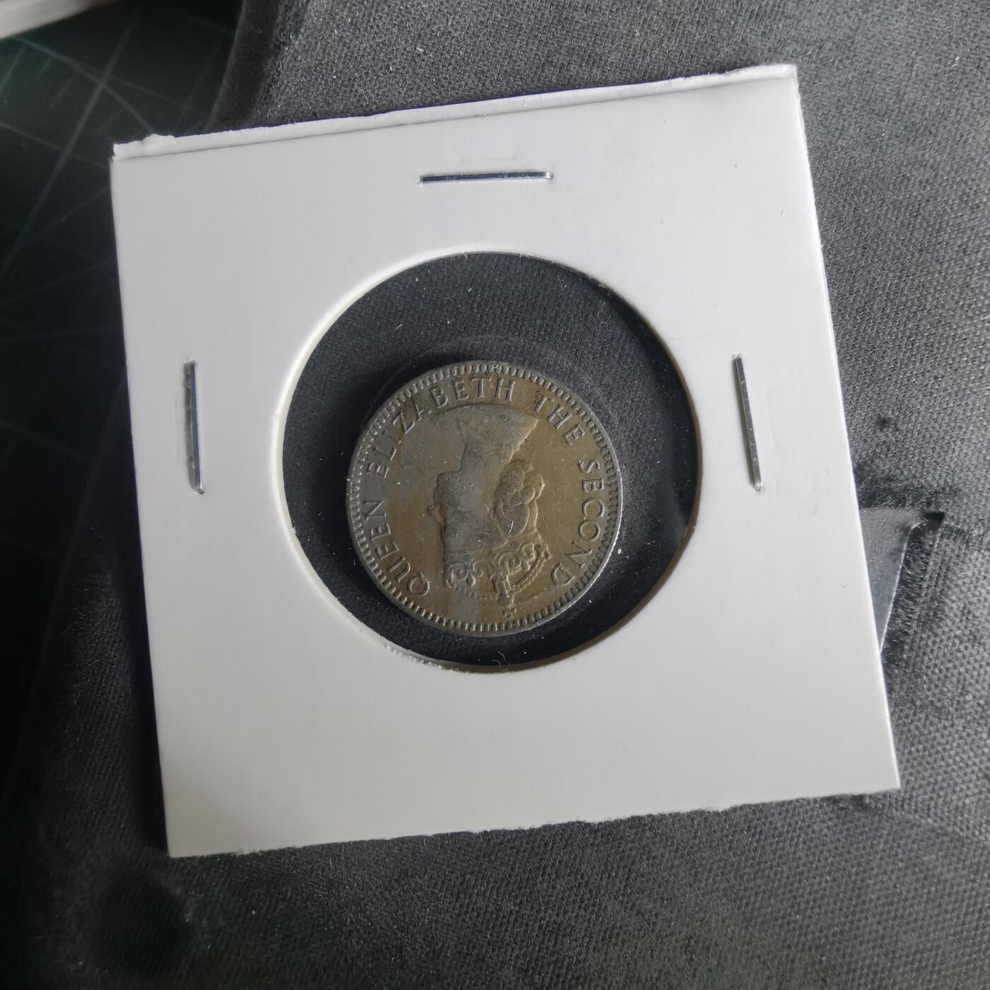 沼泽如烟--第1033场