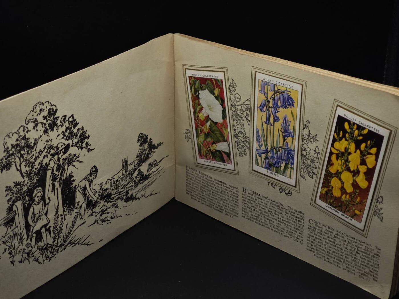  【淘币小摊】限时拍第八百八十四拍   纸币场    每周一统一发货 英国野生花朵50种介绍册