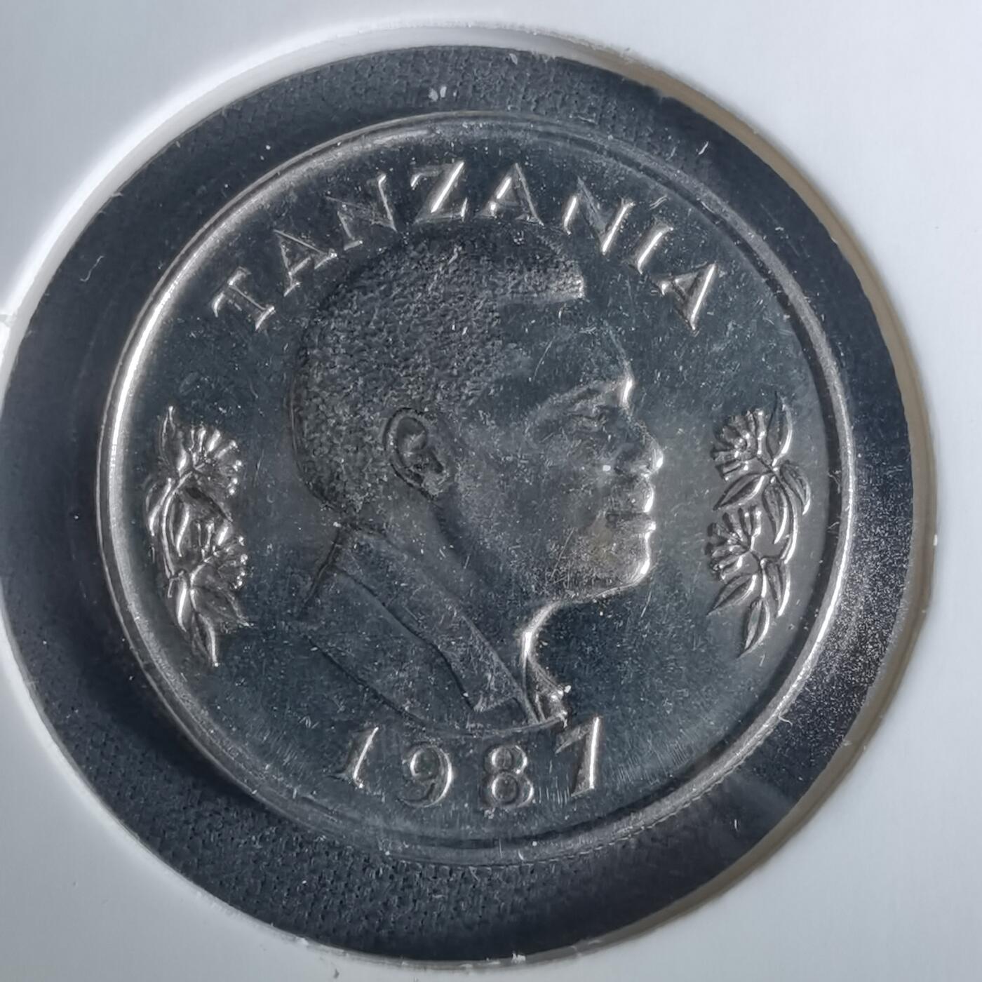 沼泽如烟--第1033场