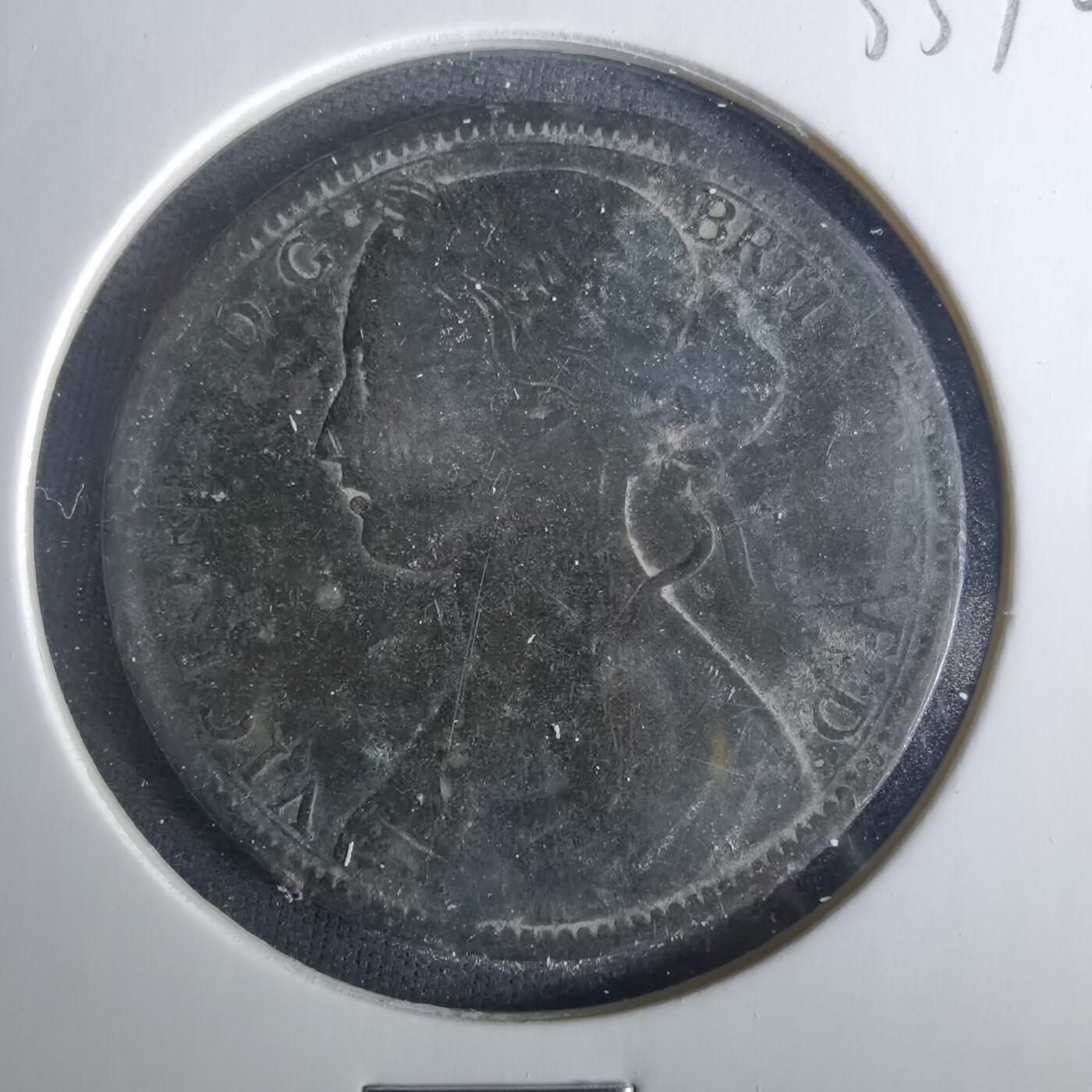 沼泽如烟--第1033场