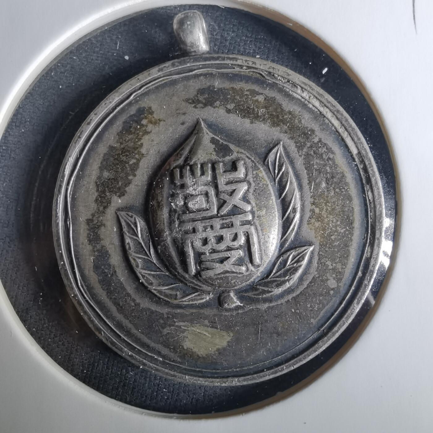 沼泽如烟--第1033场 纪念章