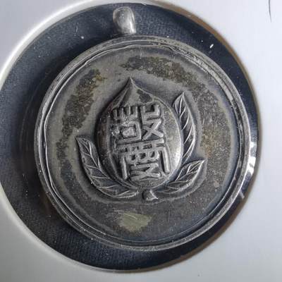 沼泽如烟--第1033场 - 纪念章