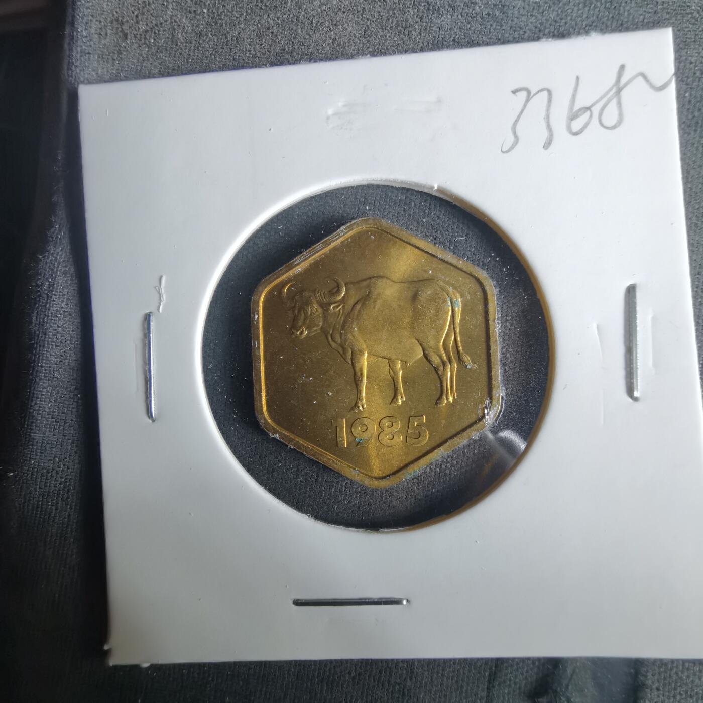 沼泽如烟--第1033场 1985年生肖牛