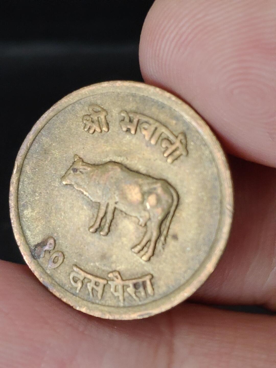 猩哥外币小铺➨【第224场】