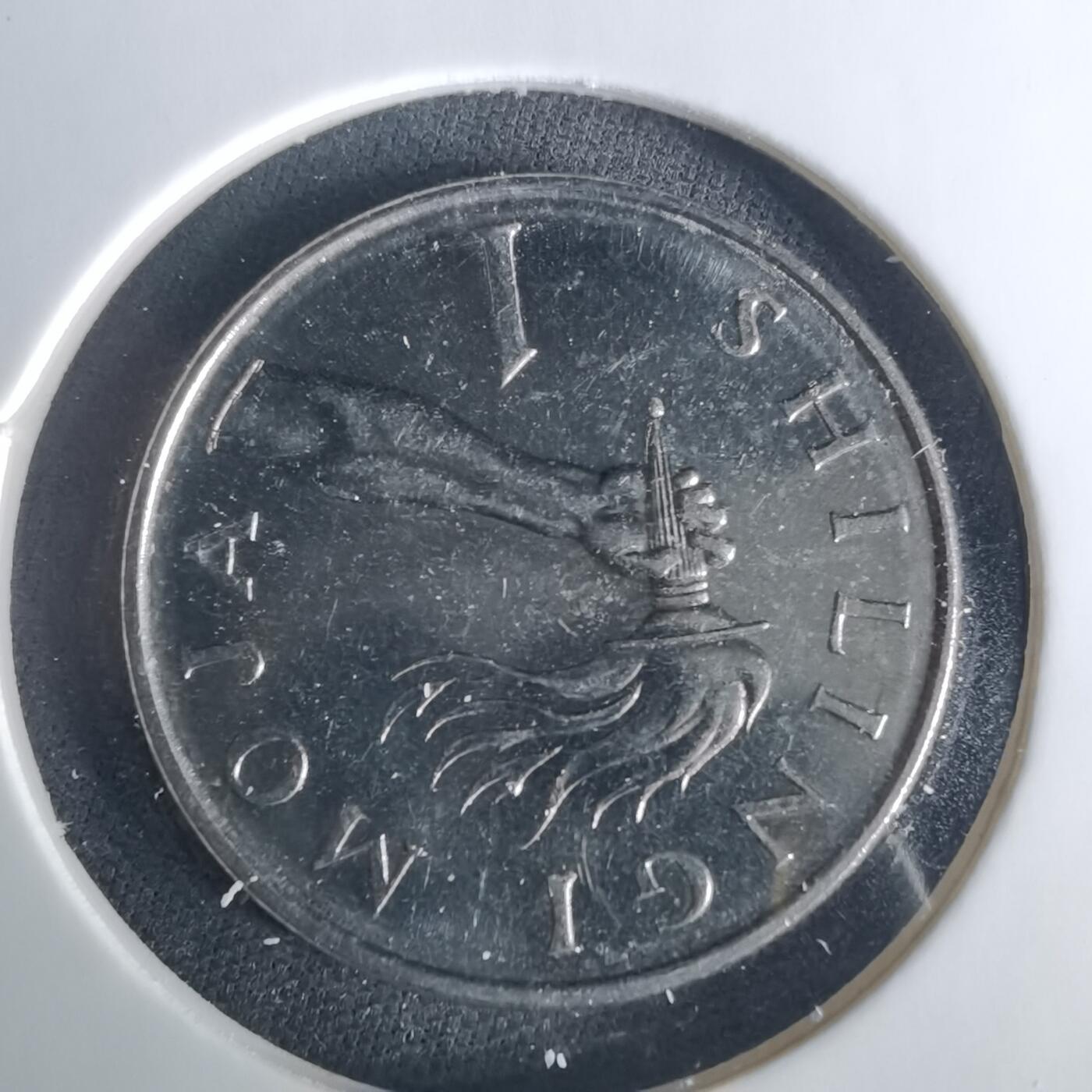 沼泽如烟--第1033场