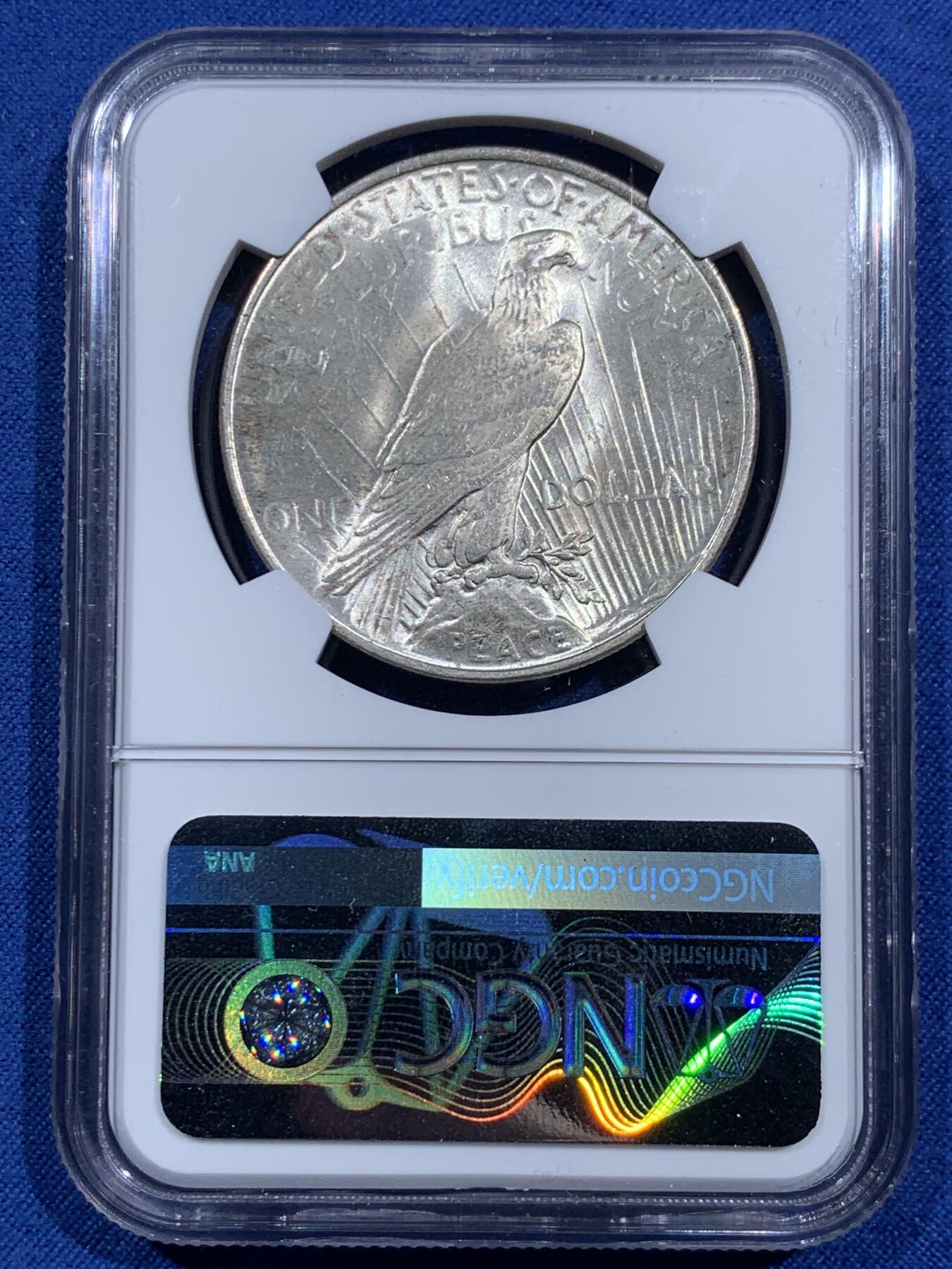 《竞宝斋》第473场 周日，周一 2场连拍 （全场包邮）欢迎送拍 NGC MS61 美国1923年和平1美元银币